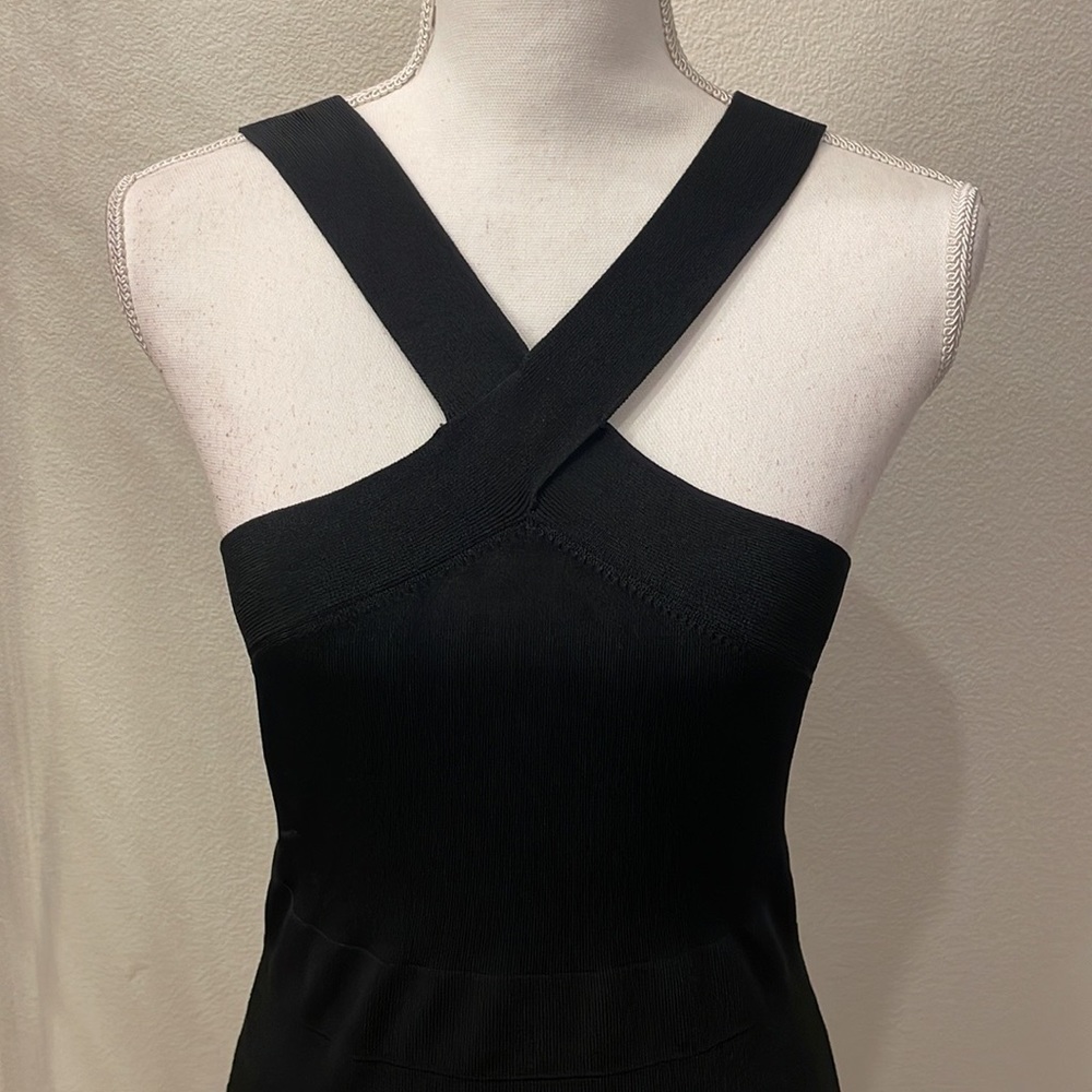 Express Dress - Picture 2 of 4